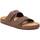 Chaussures Homme Sandales et Nu-pieds Xti 14227402 Marron