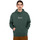 Vêtements Homme Sweats Element Fluffy Icon Vert