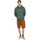 Vêtements Homme Sweats Element Fluffy Icon Vert