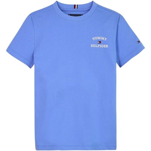 Vêtements Garçon T-shirts manches longues Tommy Backpack Hilfiger KB0KB08807 Bleu