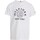 Vêtements Garçon T-shirts manches longues Tommy Hilfiger KB0KB08802 Blanc