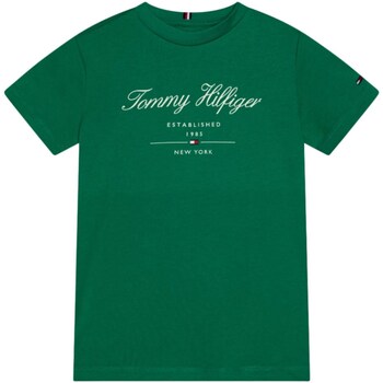 Vêtements Garçon T-shirts manches longues Tommy Backpack Hilfiger KB0KB08803 Vert