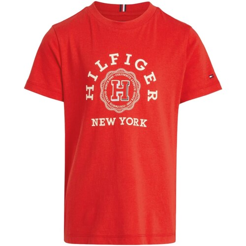 Vêtements Garçon T-shirts manches longues Tommy Hilfiger KB0KB08802 Rouge