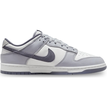 Chaussures Homme Baskets mode Nike Dunk Low Retro SE Blanc