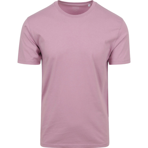 Vêtements Homme T-shirts & Polos Colorful Standard T-shirt Cherry Violet Bordeaux
