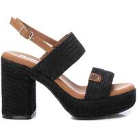 Chaussures Femme Sandales et Nu-pieds Refresh 17194002 Noir