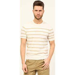 Vêtements Homme T-shirts & Polos Gran Sasso T-shirt tricoté  en coton rayé Beige