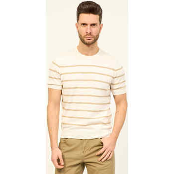 Vêtements Homme T-shirts & Polos Gran Sasso T-shirt tricoté  en coton rayé Beige