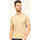 Vêtements Homme T-shirts & Polos Gran Sasso T-shirt à col rond  en coton côtelé Beige