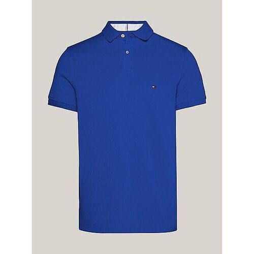 Vêtements Homme T-shirts & Polos Tommy Hilfiger MW0MW17770 - 1985 REGULAR POLO-C66 ULTRA BLUE Bleu