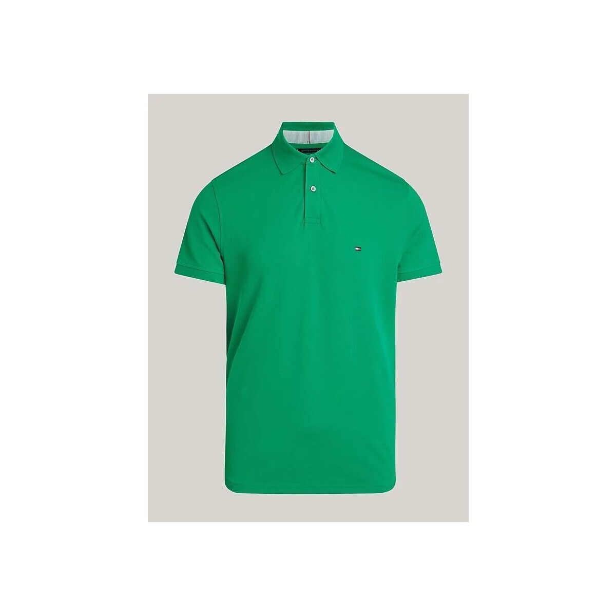 Vêtements Homme T-shirts & Polos Tommy Hilfiger MW0MW17770 - 1985 REGULAR POLO-L4B OLYMPIC GREEN Vert