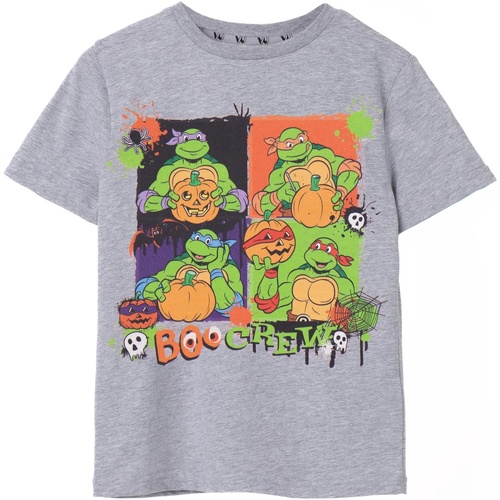 Vêtements Enfant T-shirts manches courtes Teenage Mutant Ninja Turtles Boo Crew Gris