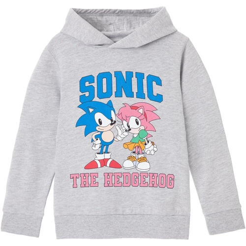 Vêtements Fille Sweats Sonic The Hedgehog Collegiate Gris