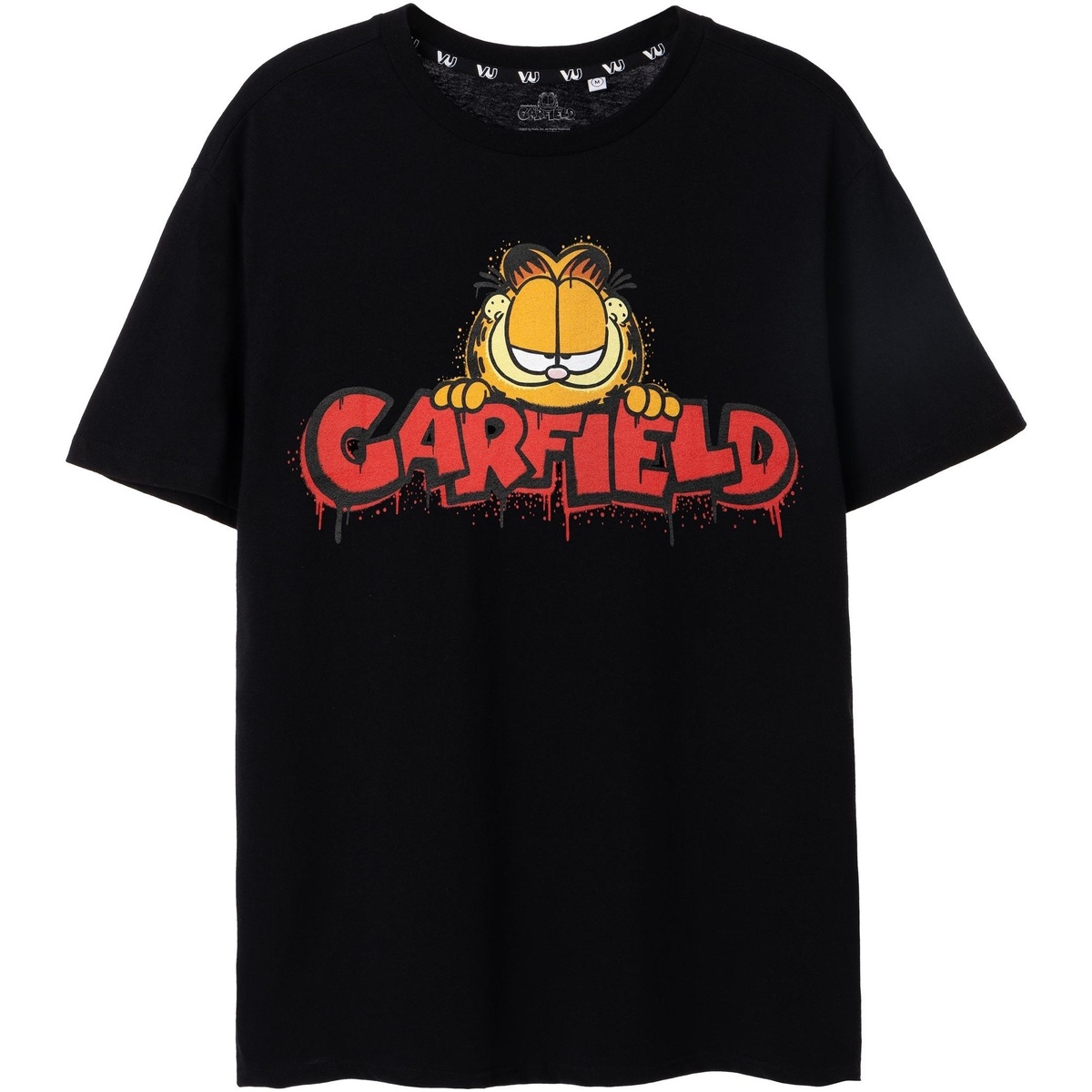 Vêtements Homme T-shirts manches courtes Garfield NS7764 Noir