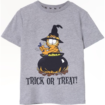 Vêtements Enfant T-shirts manches courtes Garfield Trick Or Treat Gris