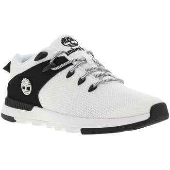 Chaussures Homme Baskets basses Timberland 22860CHPE24 Blanc