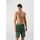Vêtements Homme Shorts / Bermudas Lacoste GH8393 Vert