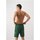 Vêtements Homme Shorts / Bermudas Lacoste GH8393 Vert