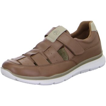 Chaussures Homme The North Face Ara  Marron