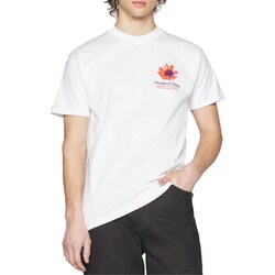 drop-shoulder cotton T-shirt Grigio