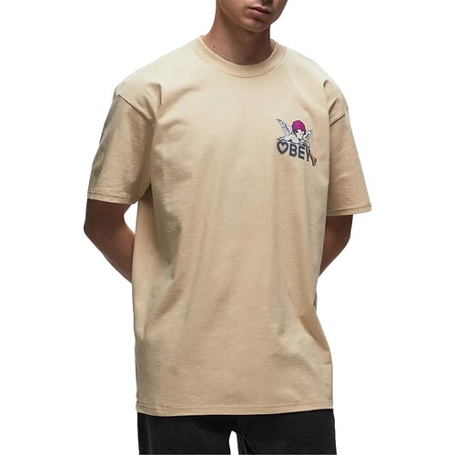 Vêtements Homme T-shirts manches courtes Obey 165263700 Beige