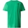 Vêtements Homme T-shirts & Polos The North Face Simple Dome T-Shirt - Optic Emerald Vert