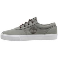 Chaussures Homme Baskets basses Timberland MYLO BAY LOW LACE UP Gris
