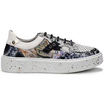 Chaussures Femme Baskets basses Dorking D8751GILCO Multicolore