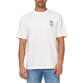 Vêtements Homme T-shirts manches courtes Only & Sons  22028731 Multicolore