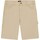 Vêtements Homme Shorts / Bermudas Dickies DK0A4XNGF021 Beige