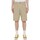 Vêtements Homme Shorts / Bermudas Dickies DK0A4XNGF021 Beige