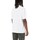 Vêtements Homme T-shirts manches courtes Dickies DK0A4YFCWHX1 Blanc