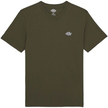Vêtements Homme College T-shirt Printed Long Sleeved Dickies DK0A4YAIMGR1 Vert