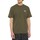 Vêtements Homme T-shirts manches courtes Dickies DK0A4YAIMGR1 Vert
