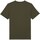 Vêtements Homme T-shirts manches courtes Dickies DK0A4YAIMGR1 Vert