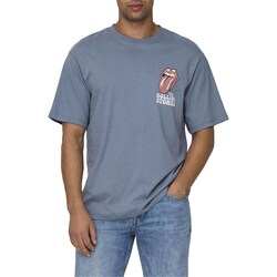 Vêtements Homme T-shirts manches courtes Only & Sons  22028756 Autres