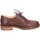 Chaussures Femme Derbies & Richelieu Astorflex EY786 Marron
