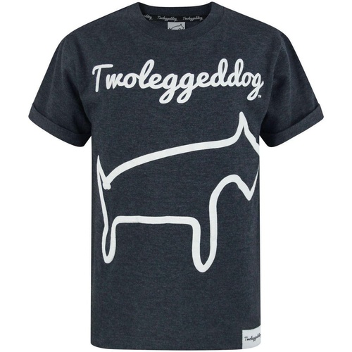 Vêtements Enfant T-shirts manches courtes Two Legged Dog NS7826 Gris