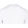 Vêtements Homme Polos manches courtes Rip Curl TUCTUC TEE Blanc