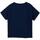 Vêtements Fille T-shirts manches courtes Desigual  Bleu