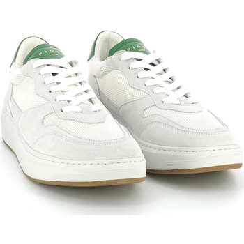 Chaussures Homme Baskets basses Piola Cayma Vert