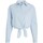 Vêtements Femme Chemises / Chemisiers Tommy Jeans CAMISA MUJER   DW0DW17520 Bleu