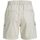 Vêtements Femme Shorts / Bermudas Jjxx 12225955 HOLLY CARGO SHORTS-MOONBEAM Beige
