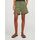 Vêtements Femme Shorts / Bermudas Jjxx 12253014 MADDY SHORTS-ALOE Vert
