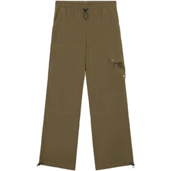 Vêtements Femme Pantalons 5 poches Dickies DK0A4YJCMGR1 Vert