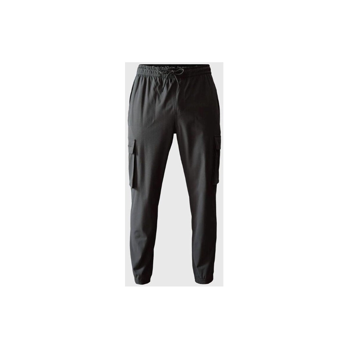 Vêtements Homme Pantalons Calvin Klein Jeans J30J324686PSM Gris