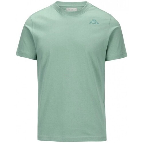 Vêtements Homme T-shirts & Polos Kappa TEE SHIRT CAFERS SLIM TEE - GREEN LICHEN/GREEN WASABI - M Multicolore