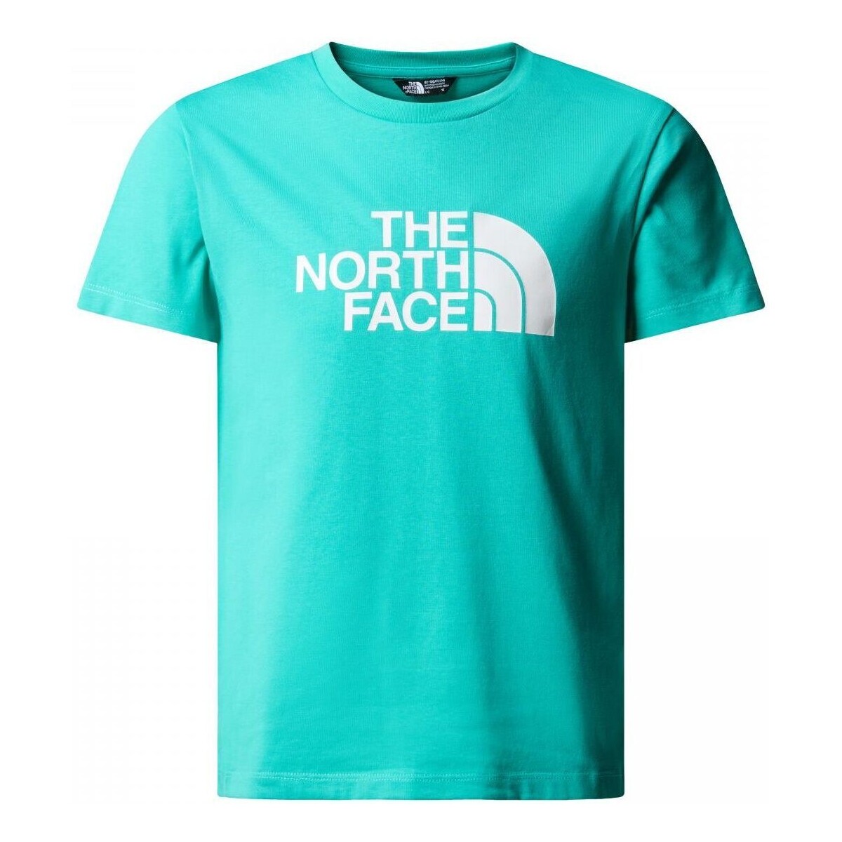 Vêtements Enfant T-shirts & Polos The North Face NF0A87T6 B S/S EASY TEE-PIN GEYSER Bleu