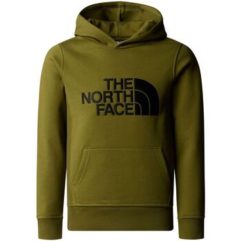 Vêtements Enfant Sweats The North Face NF0A89PS B DREW HD-SPI FOREST Vert