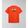 Vêtements Homme T-shirts & Polos Napapijri S-TAHI NPA4HQA-A63 ORANGE SPICY Orange